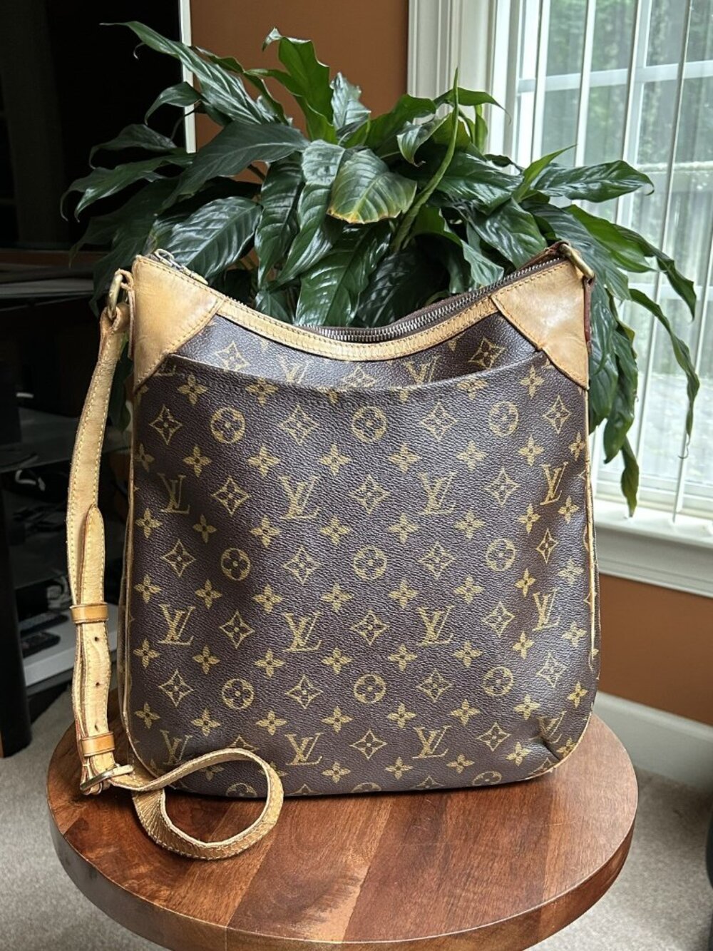 LOUIS VUITTON Monogram Odeon Bag MM
